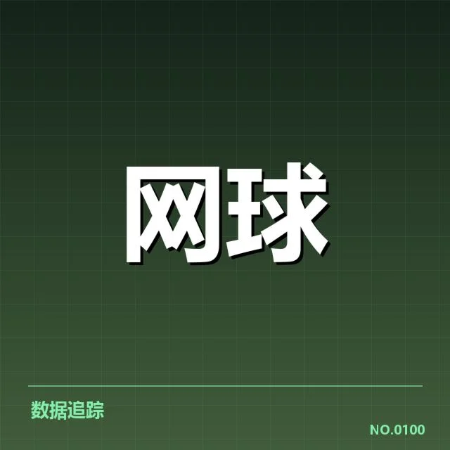 赛事成绩与关键数据确认